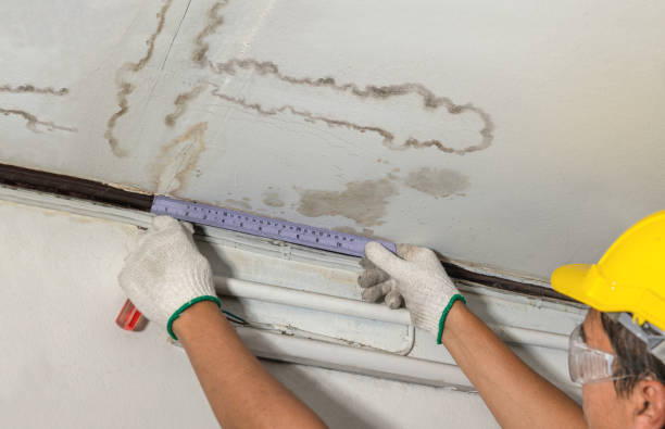 Reliable Mold Remediation contractor in Andover, MN by Local Water Damage Repair